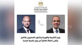 Egyptian, French FMs discuss developments in Lebanon, Gaza