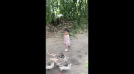 Crazed wild goose attacks innocent toddler in China