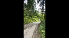 Cyclist crashes after jumping across road in Annecy, France