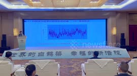 Cultural heritage a bridge between Chinese and Egyptian civilizations: Ambassador of Egypt to China