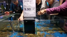 China: People shop for hairy crabs at a supermarket in Yichang