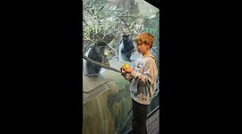 Boy's Rubik's Cube Fascinates Monkey