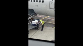 How cute! Virgin Australia Pilot checks on animals after landing in Melbourne Tullamarine Airport