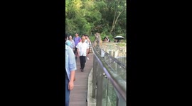 Monkey playfully slaps elderly bald man on the head