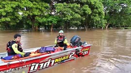 Rescuers save 100kg Mekong giant catfish trapped outside flooded train station