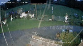 Animal lovers call for fireworks ban - as video shows sheep fleeing in terror