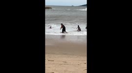 Brave rescue of child from waves in Xiamen
