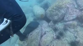 Hong Kong authorities detonate Japanese WWII bomb found on sea bottom