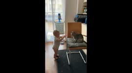 Playful moments between baby and cat