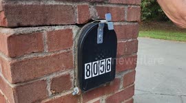 Retrieving the Mail - Voting Ballot in Mail