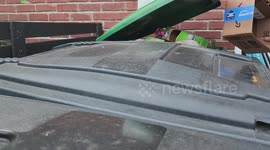 Putting Box in Recycling Bin