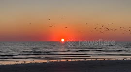 Sunset and Beach Cleanup, Treasure Island