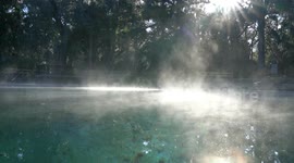 Early morning at a Florida spring with steamy fog rising off the water surface