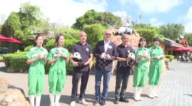 Hong Kong-born giant panda cubs leave incubators, develop distinctive markings