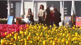 Annual Floriade spring celebration concludes in Canberra