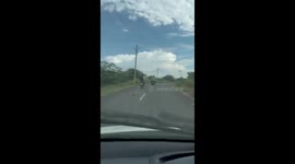 Motorcycle rider seen dragging python behind bike in India