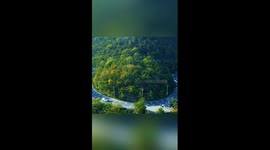 Meet these lovely sika deer in NE China's Dalian