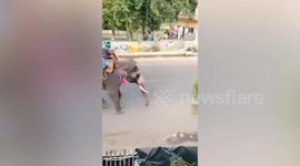 Elephant runs riot attacking cars at festival in India