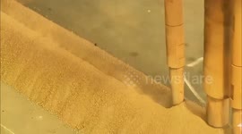 China's shipbuilding industry soars in Q1-Q3