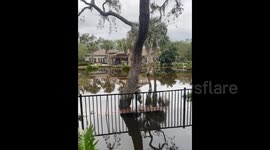 Recap – Hurricane Milton Leaves Destruction And Widespread Power Outages In Florida 2