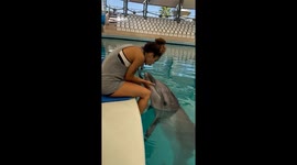 Dolphin interaction in Antalya