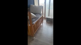 Cat named Chimmy sleeps on baby's crib