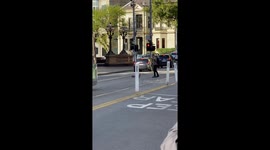 Man Stops Traffic For Crossing Ducks