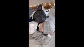 Frenchie and baby are sleeping in matching outfits because baby turned 12 months old