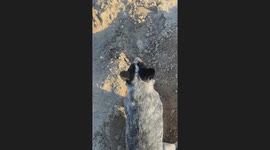 He Saw the Branch, but Not the Fire Pit