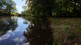 Mill pond at the famous Lumsdale falls in Matlock Derbyshire UK. 4K. Filmed in early autumn 2024