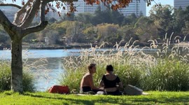Sunny Afternoon in Oakland