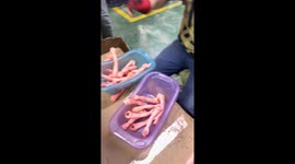 Factory Workers Assemble Dolls