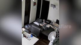 Mischievous cat smothers sleeping owner with pillow