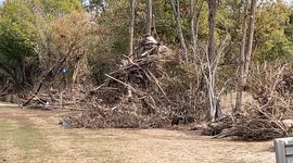 Hurricane Helene Aftermath in Asheville