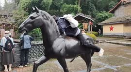 Tourist falls from horse statue