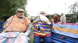 Bird lovers have 20 parrots - and regularly take them out and about town