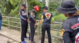 Fireman climbs up tree to save stranded cat