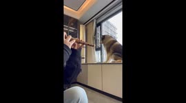 Alaskan Malamute joins flute performance in China with howls