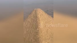 Egypt: Dog Climbs Giza Pyramid to Bark at Birds