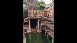 Monkeys seen swimming in Ambikeshvar Mahadev temple waters in Jaipur