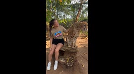 Petting a cheetah in Zanzibar, Tanzania