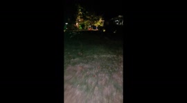 Медведь пришёл к нам домой, мы вышли к нему на встречу, чтобы поздороваться с ним и погладить его, а он сбежал...