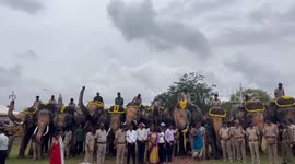 India: Farewell ceremony with Dasara Elephants at Mysuru Palace