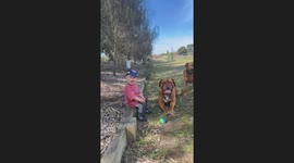 Toddler Mimics Panting Pup
