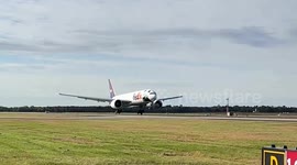 Giant pandas arrive in United States on flight from from China
