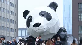 China: Wall-climbing Giant Panda Sculpture in Chengdu