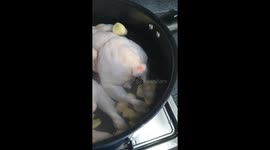 This Chicken Is Not Very Demure