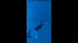 Freedivers train with shot lines at pool
