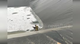 Firemen rescue three dogs trapped in frozen reservoir in Siberia
