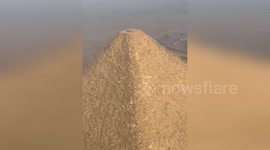 Paraglider spots dog on top of Great Pyramid of Giza